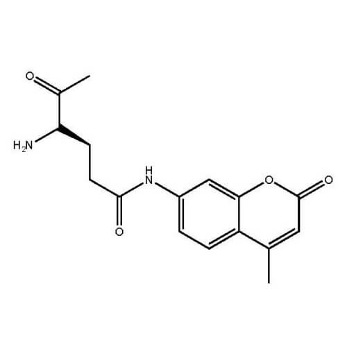 γ-L-Glutamic acid 7-amido-4-methylcoumarin