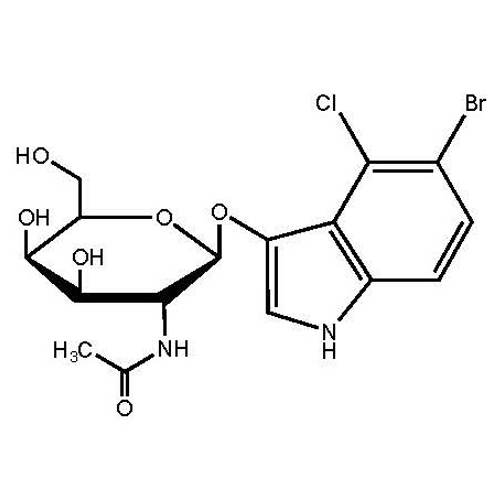 5-Bromo-4-chloro-3-indolyl N-acetyl-beta-D-galactosaminide