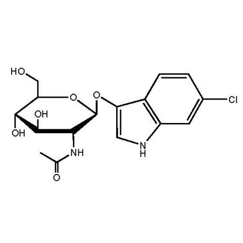 6-Chloro-3-indolyl N-acetyl-beta-D-glucosaminide