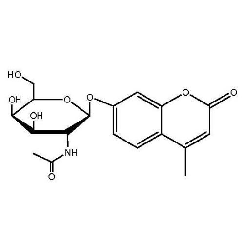 4-Methylumbelliferyl N-acetyl-beta-D-galactosaminide